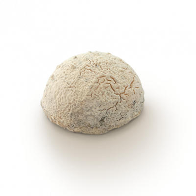 French artisan cheese - Taupinette - 150g